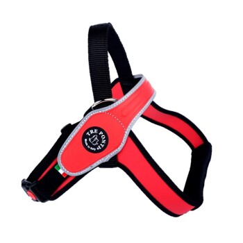 Geschirr Primo Classic rot XL