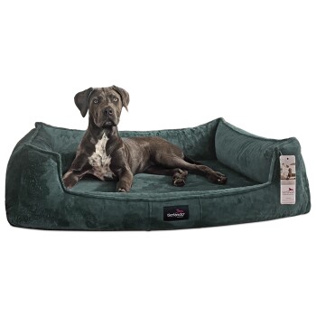 ® Orthopädisches Hundebett FRANKLIN Kuscheliger Teddy-Stoff - Hundesofa petrol 1,1 m, 22 cm, 90 cm
