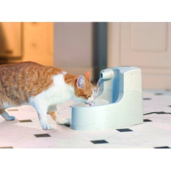Orange-weiße Katze trinkt Wasser aus einem automatischen Haustierbrunnen auf gefliestem Boden.