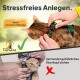 Bild von zwei Katzen mit Geschirren: eine korrekt mit einem grünen Geschirr, die andere inkorrekt, mit einem roten 'X' markiert. Tierhood-Logo vorhanden.