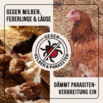 Hühner in einem Stall mit einem roten und schwarzen Schädlingsbekämpfungssymbol. Text: "Gegen Milben, Federläuse & Läuse" und "Reduziert die Verbreitung von Parasiten."