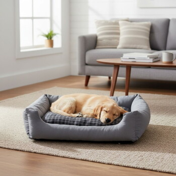 Golden-Retriever-Welpe schläft in einem grauen Hundebett mit Bolstern und kariertem Kissen auf einem Teppich in einem hellen Wohnzimmer.