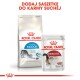 Opakowanie Royal Canin pokazujące suchą karmę dla kotów "Home Life Indoor 27" oraz saszetkę mokrej karmy "Instinctive", promujące mieszanie obu.