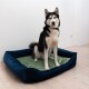 Otto Orthopädisches Hundebett Dunkelblau S-XL grün L