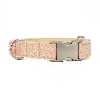 Ein hellrosa gewebtes Haustierhalsband mit einer silbernen Metallschnalle und D-Ring zur Leinenbefestigung, vor einem weißen Hintergrund präsentiert.