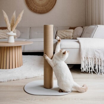 Eine verspielte weiße Katze mit braunen Flecken streckt sich, um einen hohen, beigen Kratzbaum mit einem baumelnden Spielzeug zu kratzen, der in einem gemütlichen Wohnzimmer steht.