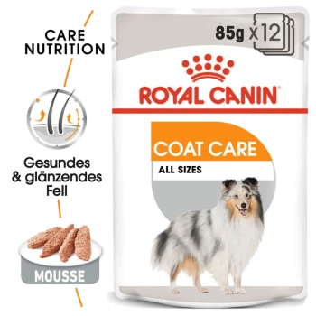 Royal Canin Coat Care Haustierfutterverpackung mit den Aufschriften "85g x 12" und "Alle Größen", mit einer visuellen Darstellung von Mousse-Leckerlis und einer Hundesilhouette.