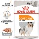 Royal Canin Coat Care Haustierfutterverpackung mit den Aufschriften "85g x 12" und "Alle Größen", mit einer visuellen Darstellung von Mousse-Leckerlis und einer Hundesilhouette.