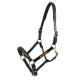Schwarzes Leder-Haustiergeschirr mit goldenen Beschlägen, mit verstellbaren Riemen und einer zentralen Namensplatte zur Personalisierung.