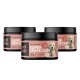 Drei Gläser "Petstile Dog Superfoods Super Skin & Coat" Pulver, jeweils 100g, die die Hautfeuchtigkeit und ein gesundes Fell fördern.