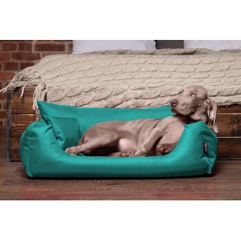 Ein entspannter grauer Hund, der in einem türkisfarbenen Hundebett liegt, mit einer gemütlichen gestrickten Decke und einem Holzrahmen im Hintergrund.