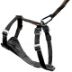 Black adjustable pet harness with padded chest and multiple buckles, designed for comfort and security during walks.