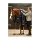 Eine Person stattet ein Pferd mit einer blauen und schwarzen Pferde-Decke in einem Stall aus. Das Pferd hat ein braunes Fell und eine weiße Blesse.