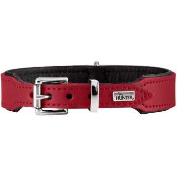 Rotes Lederhalsband für Hunde mit schwarzer Polsterung, silberner Schnalle und einem Metallanhänger mit der Aufschrift „HUNTER“.
