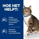 Een tabby kat met een blauwe halsband staat tegen een blauwe achtergrond met tekst over struvietkristallen en steenconcentratie.