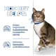 Een tabby kat met een blauwe halsband staat tegen een blauwe achtergrond met tekst over struvietkristallen en steenconcentratie.