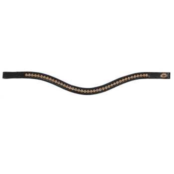 Schwarzes Haustierhalsband, verziert mit einer Reihe dekorativer goldener Nieten, mit einem kleinen Logoanhänger an einem Ende.