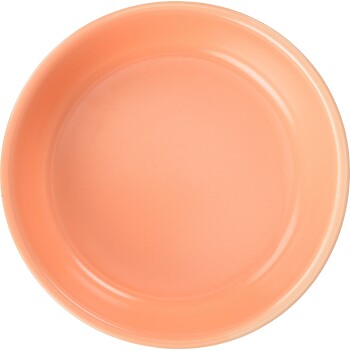 Eine runde, pfirsichfarbene Haustierfutterschüssel von oben betrachtet, mit einer glatten, glänzenden Oberfläche.