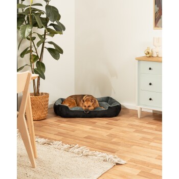 Ein entspannter brauner Hund schläft in einem gemütlichen schwarzen Haustierbett, umgeben von einer Topfpflanze und modernen Möbeln in einem hellen Raum.