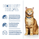 Een oranje tabby kat in een blauwe halsband staat naast tekst over de voordelen van huisdiervoeding voor de urinegezondheid.