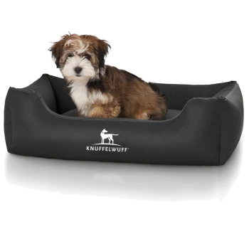 Ein kleiner, flauschiger Welpe sitzt bequem in einem schwarzen Hundebett mit dem Logo "KNUFFELWUFFF", das prominent auf der Vorderseite angezeigt wird.
