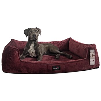® Orthopädisches Hundebett FRANKLIN Kuscheliger Teddy-Stoff - Hundesofa bordeaux 1,3 m, 25 cm, 1 m