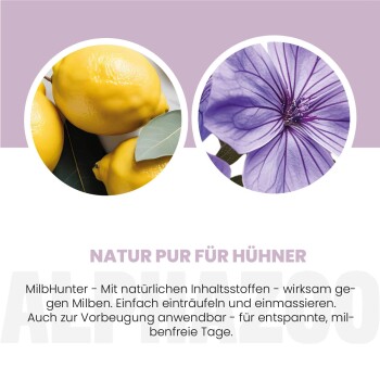 Nahaufnahmen von Zitronen und einer lila Blume mit deutschem Text über MilbHunter natürlichen Milbenschutz für Hühner.