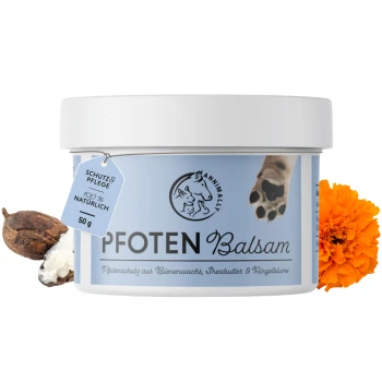 Weißer Behälter mit Pfotenbalsam für Haustiere mit einem blauen Etikett, Pfotenabdruck-Logo und Ringelblume. Text: "PFOTEN Balsam" und "100% NATÜRLICH."