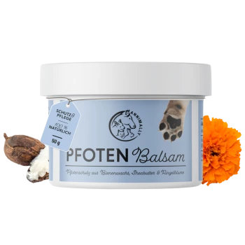 Weißer Behälter mit Pfotenbalsam für Haustiere mit einem blauen Etikett, Pfotenabdruck-Logo und Ringelblume. Text: "PFOTEN Balsam" und "100% NATÜRLICH."