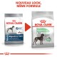 Deux sacs de nourriture pour chiens Royal Canin "Digestive Care" pour grands chiens, avec un nouveau design et le texte "NOUVEAU LOOK, MÊME FORMULE."