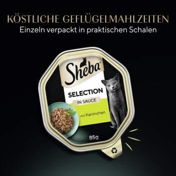 Sheba Katzenfutterverpackung mit "Selection in Sauce mit Kaninchen," 85g, mit einem Bild einer grauen Katze und einer Schüssel mit Futter.