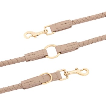 Beige geflochtene Haustierleine mit goldenen Beschlägen, mit einem Clip und einem runden Ring zur Befestigung.