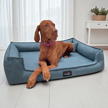 Brauner Hund mit rosa Halsband liegt auf einem blauen Tierlando-Haustierbett in einem hellen Raum mit weißen Vorhängen.