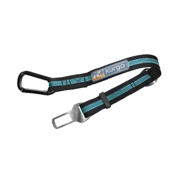 Kurgo Hundesicherheitsgurt mit einem schwarzen Riemen und türkisfarbenen Akzenten, mit einem Metallclip und einer Schnalle für eine sichere Befestigung.