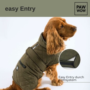 Ein goldener Cocker Spaniel trägt einen grünen, gesteppten Hundemantel mit Kapuze, mit einem seitlichen Reißverschluss und einem Klettverschluss, beschriftet mit 'einfachem Zugang'.