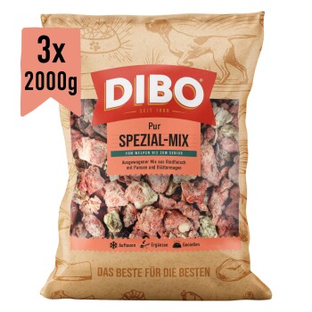 DIBO Spezial Hundefutterpaket, 2000 g, mit gemischtem Rindfleisch und Pansen, als ergänzendes Tiefkühlfutter für Hunde gekennzeichnet.