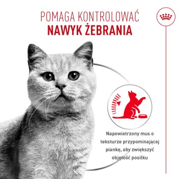 Portret szarego kota z polskim tekstem 'POMAGA KONTROLOWAĆ NAWYK ŻEBRANIA' i czerwoną ikoną kota przy misce