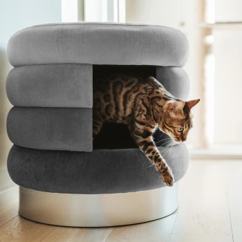 Eine Bengal-Katze, die aus einem modernen, grauen Haustierbett mit kreisförmigem Design und einer glänzenden silbernen Basis auf einem Holzboden auftaucht.