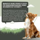 Dosen mit reinem Muskelfleisch für empfindliche Hunde, gekennzeichnet mit Pferd Pur, Ente Pur und Hirsch Pur, die hypoallergene und ein Proteinmerkmale hervorheben.