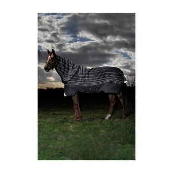 Ein Pferd, das eine schwarz-weiße gestreifte Decke trägt, steht auf Gras unter einem bewölkten Himmel und zeigt seine stilvolle Outdoor-Ausrüstung.