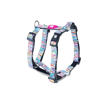 Bunt gestreiftes verstellbares Hundegeschirr mit schwarzen Schnallen und Metallringen, mit „Wagwear“-Label auf weißem Hintergrund.