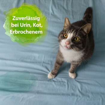Grau-weiße Katze auf blauer Decke mit nassem Fleck; grüner Hinweis 'Zuverlässlich bei Urin, Kot, Erbrochenem'.