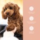 Een fluffy bruine hond houdt de hand van een persoon vast, met tekst aan de rechterkant die zegt 'NATÜRLICHE ZUTATEN', 'MIT TIERÄRZTEN ENTWICKELT' en 'MADE IN GERMANY.'