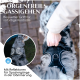 Eine Person hält ein reflektierendes Hundegeschirr, das sichere Abendspaziergänge fördert. Text: "Sorgenfreies Gassigehen" und "Bequemer Griff für Kontrolle."