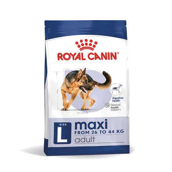 Royal Canin Hundefutterbeutel für große erwachsene Rassen (26-44 kg), mit einem Deutschen Schäferhund, der die Verdauungs- und optimale Gesundheit fördert.