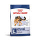 Royal Canin dog food bag for adult large breeds (26-44 kg), featuring a German Shepherd, promoting digestive and optimal health.