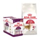 Emballage de nourriture pour chats Royal Canin mettant en vedette une boîte de 12 sachets sensoriels et un sac de nourriture sèche Regular Fit 32, mettant en avant la nutrition pour la santé féline.