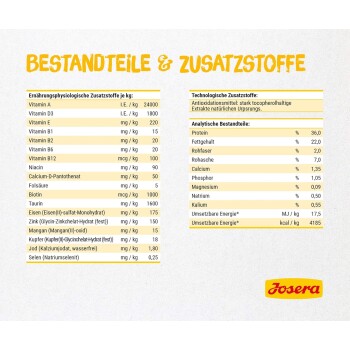 Fütterungsempfehlungen für trächtige Katzen, die tägliche Mengen an getreidefreiem Kittenfutter basierend auf dem Gewicht detailliert, mit einem Hinweis, frisches Wasser bereitzustellen.