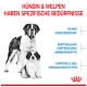 St. Bernard-Hund und Welpe mit deutschem Text: "Hündin & Welpen haben spezifische Bedürfnisse" und hebt Energie-, Immun- und Verdauungsbedürfnisse hervor.