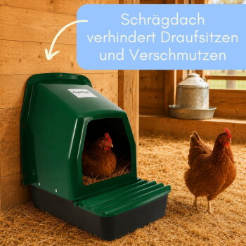 Grüner wandmontierter Hühner-Nistkasten in einem Strohstall, zwei Hühner; sichtbarer Text: 'Schrägdach verhindert Draufsitzen und Verschmutzen'